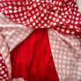 Red Pala Doro Polka Dress Image 4