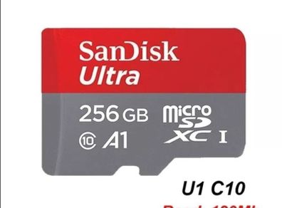 Sandisk 256gb Micro SD card