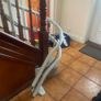 Stairlift Image 8