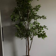 ikea plant