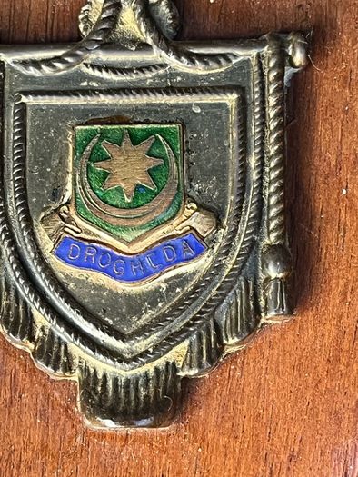 Drogheda memrobiala