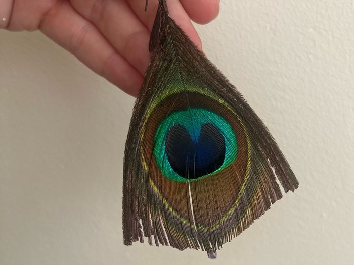 Peacock feather earrings