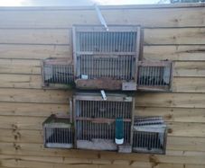trap cage