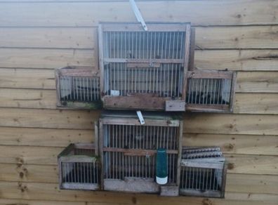 trap cage
