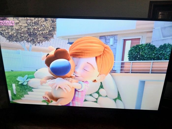 Samsung 40 inch smart hdmi tv.