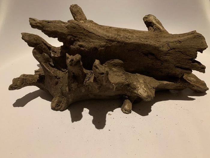 Hiding Clay cave like wood for pleco / cichlid