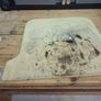 ooni koda 16 pizza oven Image 2