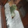 Antique French Oak Dressing Chest with Marble Top Image 9