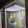 DIY Glasshouse Milsbo + lighting + Accessories Image 3