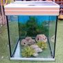 Fish Tank Image 2