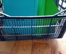 Box