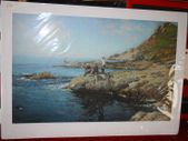SEA URCHUNS