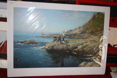 SEA URCHUNS