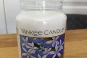 Yankee Candle