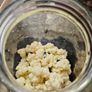 Active Milk Kefir Grains Image 2