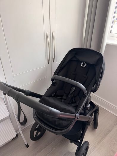 Black bugaboo renew