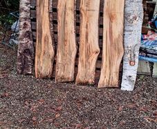 Birch live edge boards, Reads description
