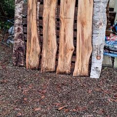 Birch live edge boards, Reads description