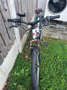 Adult Bicycle