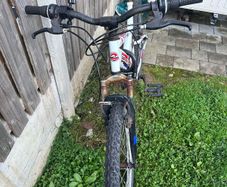 Adult Bicycle