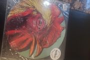 Pavement  - Watery Domestic LP  - Picture Disc