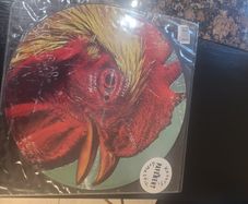 Pavement  - Watery Domestic LP  - Picture Disc