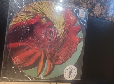 Pavement  - Watery Domestic LP  - Picture Disc