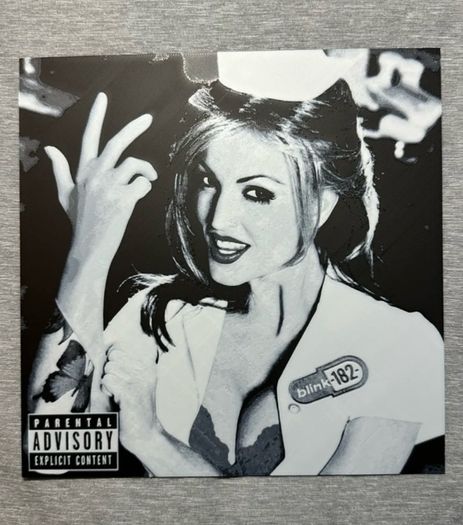 Blink 182 Enema of the state 3D printed album cover