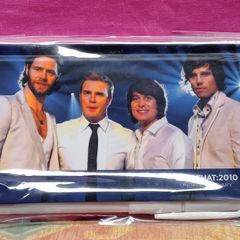 Take That  ( 2010 Diary)