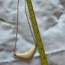 Monsoon Necklace Image 5