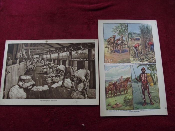 Macmillan's Class Pictures - 169 Plates + Original Folder + Reference Book 1934