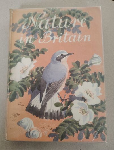 Vintage 1946 "Nature in Britain" Hardback (Collins) - Orange Pictorial Jacket