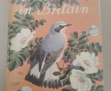Vintage 1946 "Nature in Britain" Hardback (Collins) - Orange Pictorial Jacket
