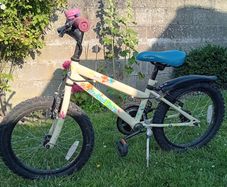 Apollo Woodland Charm Bike