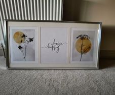 Set of 3 pictures with frame