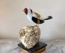 Premium Multi-Stone Gemstone Goldfinch Bird Carving on Rare Crystal Cluster Base