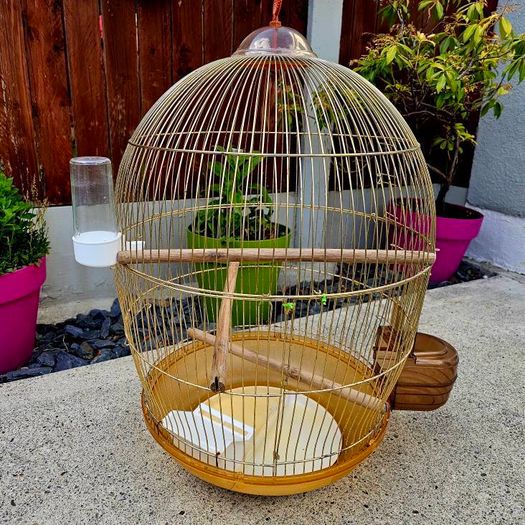 Large brass bird cage.