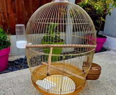 Large brass bird cage.