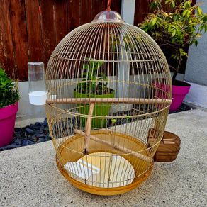 Large brass bird cage.