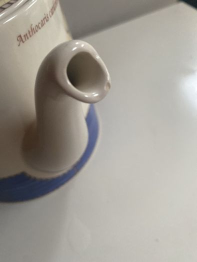 Sarah's Garden from the Wedgwood collection tea pot