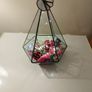 pot pourri Image 4