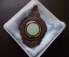 Medal 'Swimming'