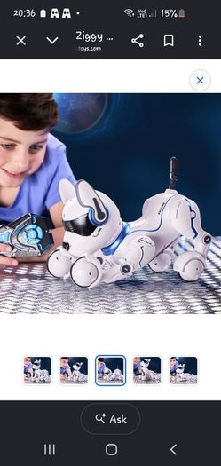Ziggy dog robot