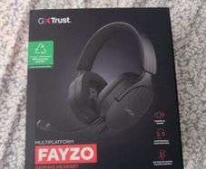 Gaming Headset with Mic