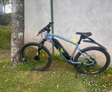 Electric Bike
