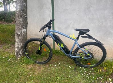 Electric Bike