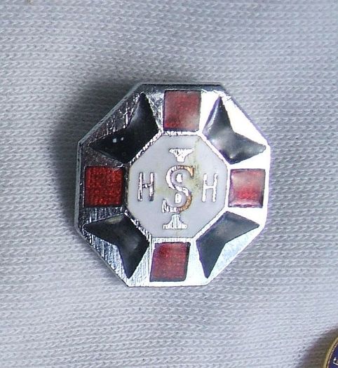 ISHH (unidentified) enamel badge (c.1970's)