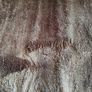Rug Image 3