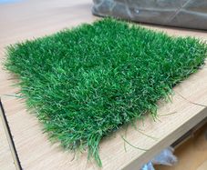 Grass. Quality Artificial Grass