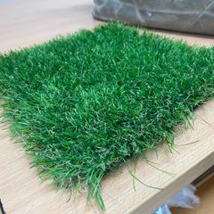 Grass. Quality Artificial Grass